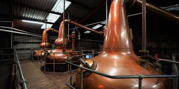 Illustration Dégustation de whiskys irlandais