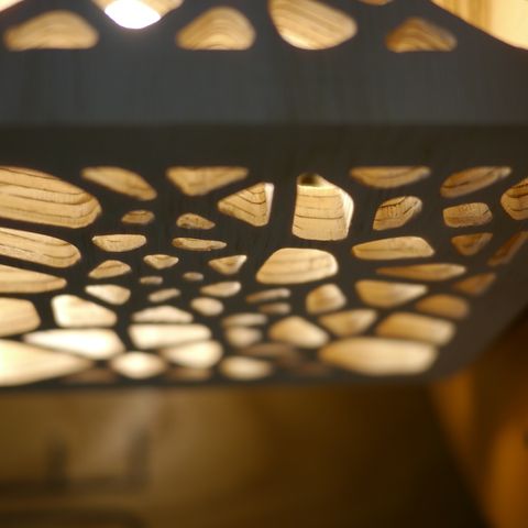 Luminaire Voronoi 1