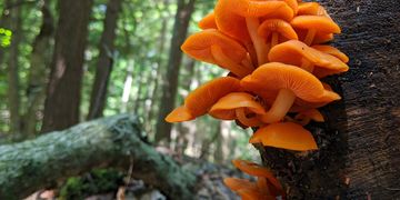 Illustration Atelier cultive ton parpaing